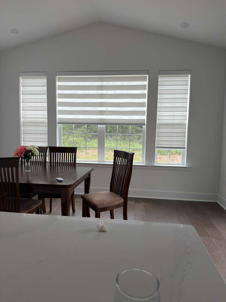 Zebra Blinds Sample